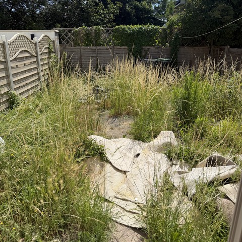 Before